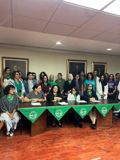 ORGANIZACIONES SE OPONEN AL PROYECTO 504 QUE DARÍA PERSONALIDAD AL NASCITURUS